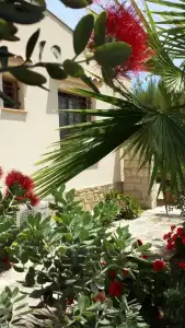 La Suite di Segesta - 0