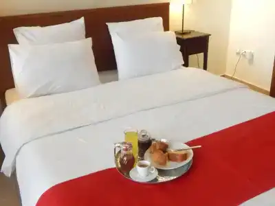 Kripis Studio Thessaloniki Apart-Hotel - 159