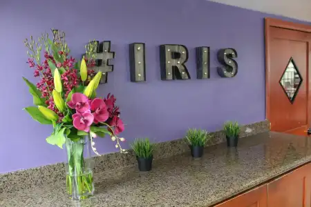 Iris - San Diego - 19