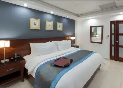 Centro Plaza Hodelpa - 12