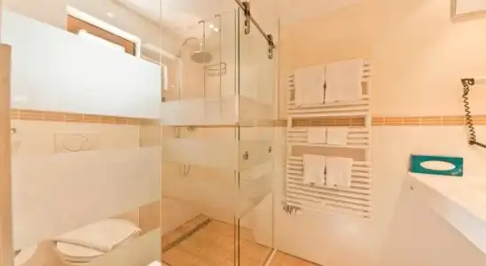 Hôtel des Alpes - 9