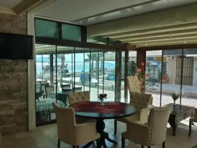 Lion Didim - 9