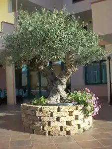 Baia Marina - 26