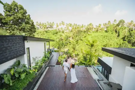 Zenubud - 11