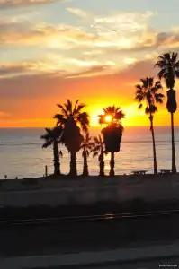 Best Western Plus Dana Point Inn-by-the-sea - 16