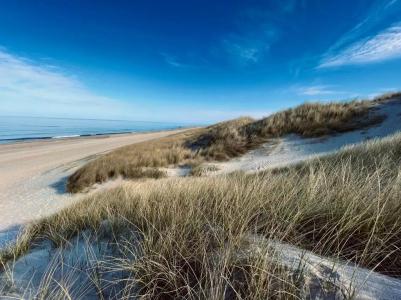 StrandMonbijou Gmbh Garni - 43