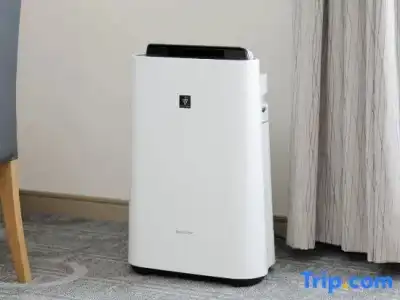 Sapporo Excel Tokyu - 52