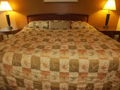 Cameo Motel - Portland - 27