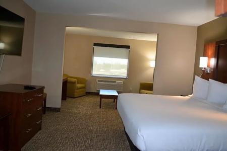 Wingate by Wyndham College Station South - 61