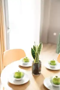 Chroma Fashion Rooms & Apartments - 12