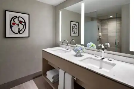 The Ritz-Carlton, Chicago - 21