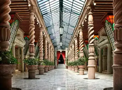 Geneve Ciudad de México - 13