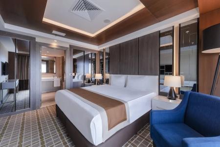 Holiday Inn KAYSERI - DUVENONU by IHG - 56
