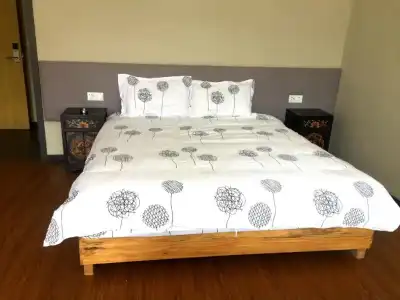Fengma Feiyang Hostel - 112