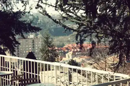 Monica - 11