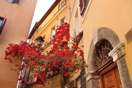 Residenza Il Bollo Holiday House - 0