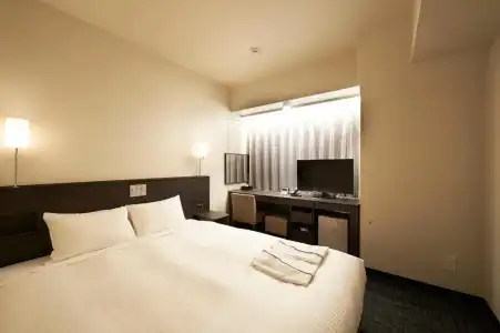 Sotetsu Fresa Inn Ochanomizu Jimbocho - 39