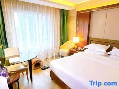 SciTechˑChina NARADA - 27