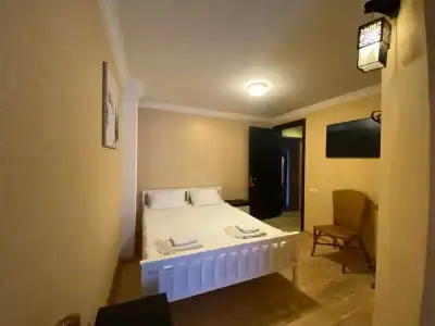 ArtVilla Bakuriani - 4