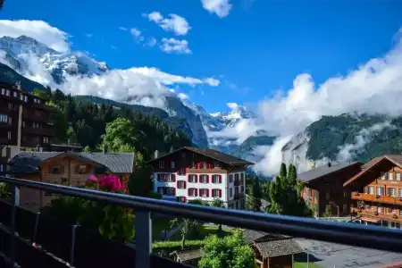 Alpenkräuter Bären - 67