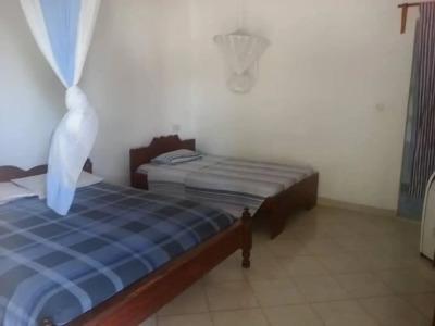 Family Beach Bungalows - 2