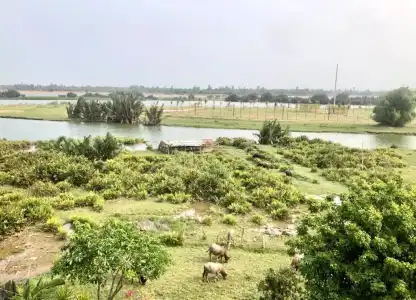 The Quin Riverside Villa - 98