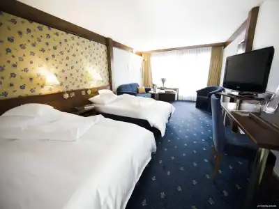 Alpen Resort & Spa - 3
