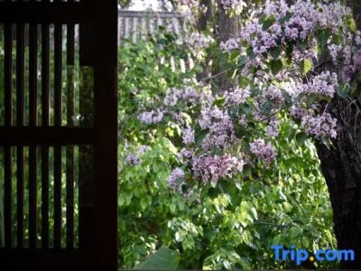 My Love Inn - 104