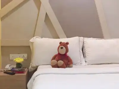 Sunshine Inn Malacca - 31