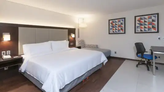 Holiday Inn Express Mexico Basilica by IHG - 37