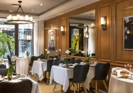 Dauphine Saint Germain - 17