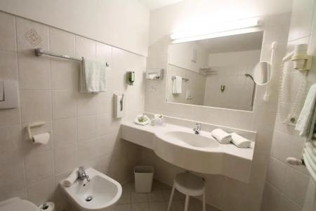 Schwarzer Adler - 21