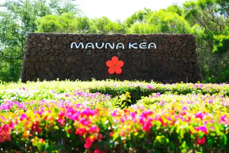 Mauna Kea Beach, Autograph Collection - 31