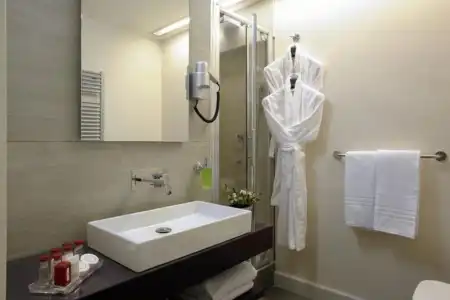 Trevi Palace Luxury Inn - 11