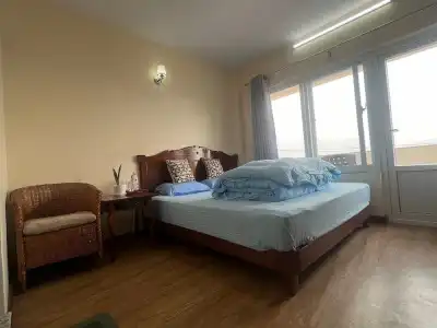 The Sparkling Turtle Backpackers Hostel - 3