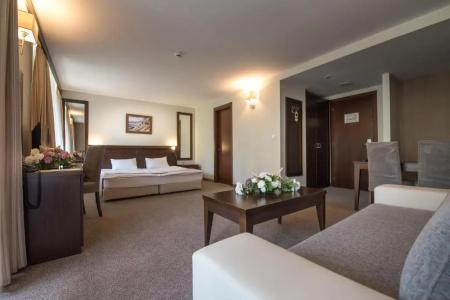 Lion Borovets - 46
