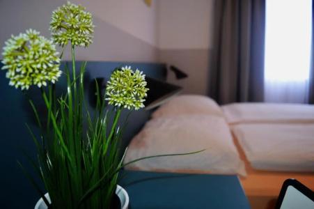 Pension Elisabeth - Rooms & Apartments - 68