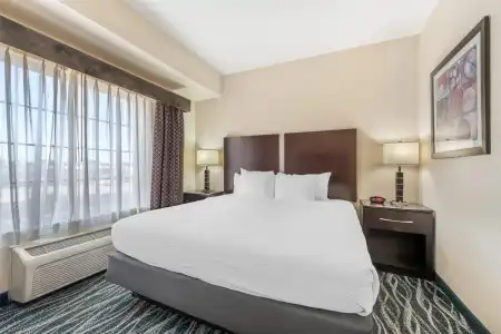 Best Western Plus Eastgate Inn & Suites - 71