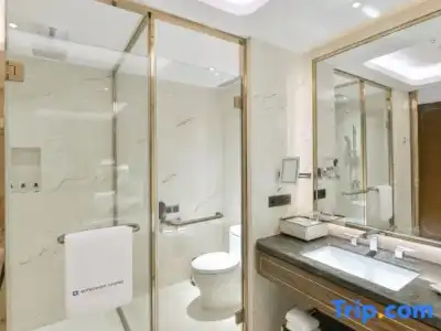 Wyndham Grand Plaza Royale Huayu Chongqing - 56