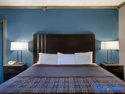 Toyoko Inn JR Wakayama Station Higashi - 100