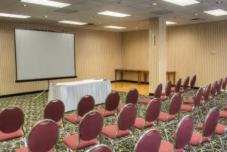 Four Points by Sheraton Windsor Downtown - 17