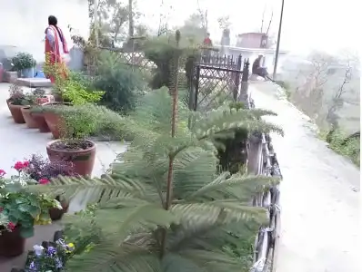 ManoHara - 10