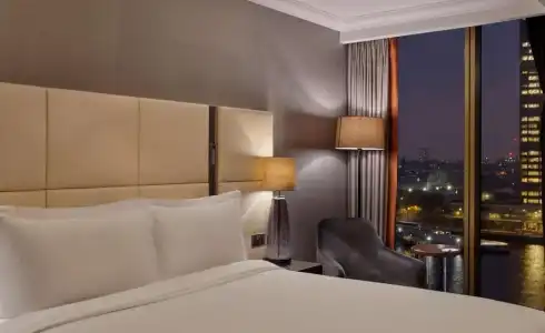 Hyatt Regency London Albert Embankment - 41