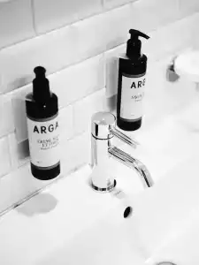 ArtBlaue Gans - 86