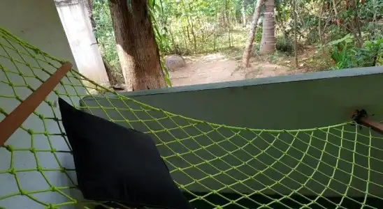 Green House - 13