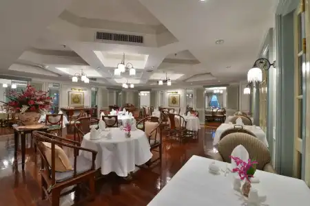 Evergreen Laurel - 18