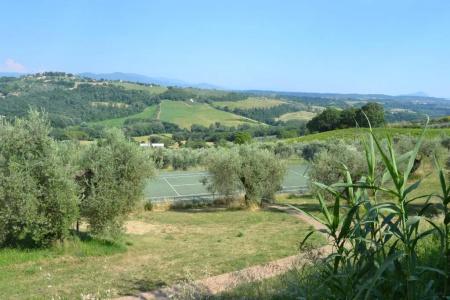 Tenuta Pizzogallo - 71