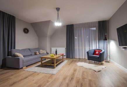 Apartamenty Bory 6a - 4