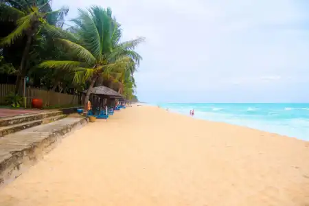Lavender Resort - 18