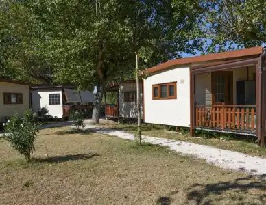 Club del Sole Riccione Easy Camping Village - 4